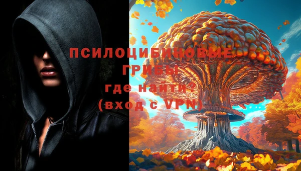бошки Армянск